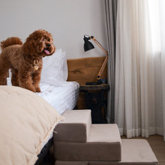 Velvet Pet Stairs, Dog Furniture, Removable Cover, Small Dog Steps