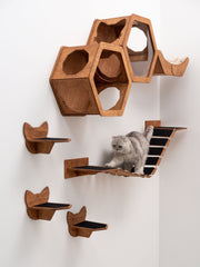 Cat Wall Shelves, Hexagon Cat Furniture, Wood Cat Climbing Shelves