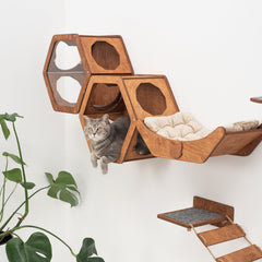 Cat Wall Shelves, Hexagon Cat Furniture, Wood Cat Climbing Shelves
