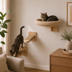 Wall Mounted Cat Bed Set with Wooden Climbing Shelves Minimalist Cat Furniture for Indoor Cats Beige Modern Pet Wall Perch Lounge Decor