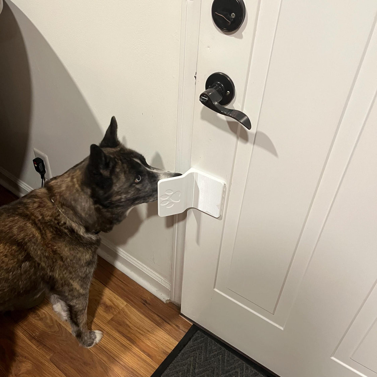 Pet Door Opener & Automatic Closer, Renter-Safe