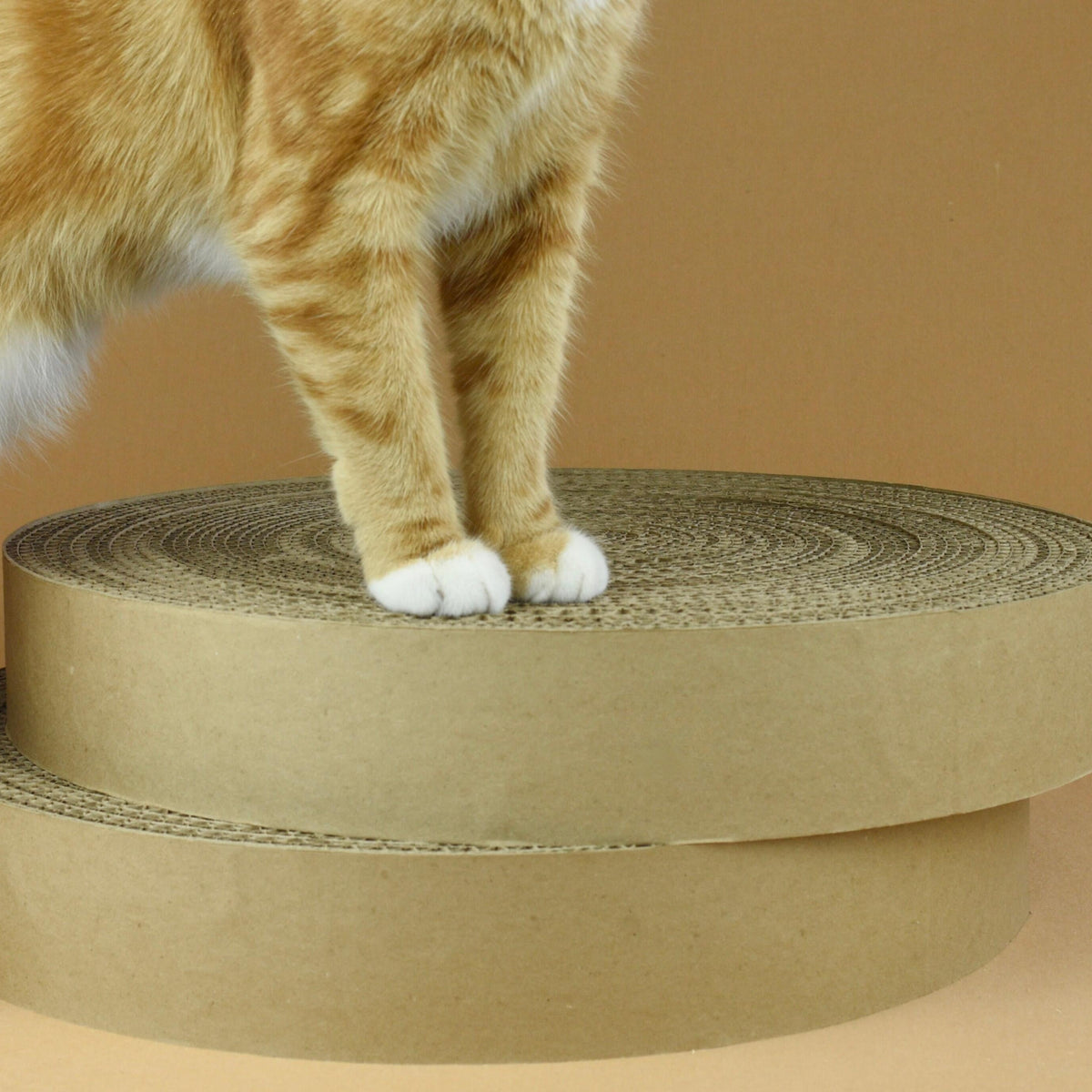 Replacement Cardboard Scratching Inserts